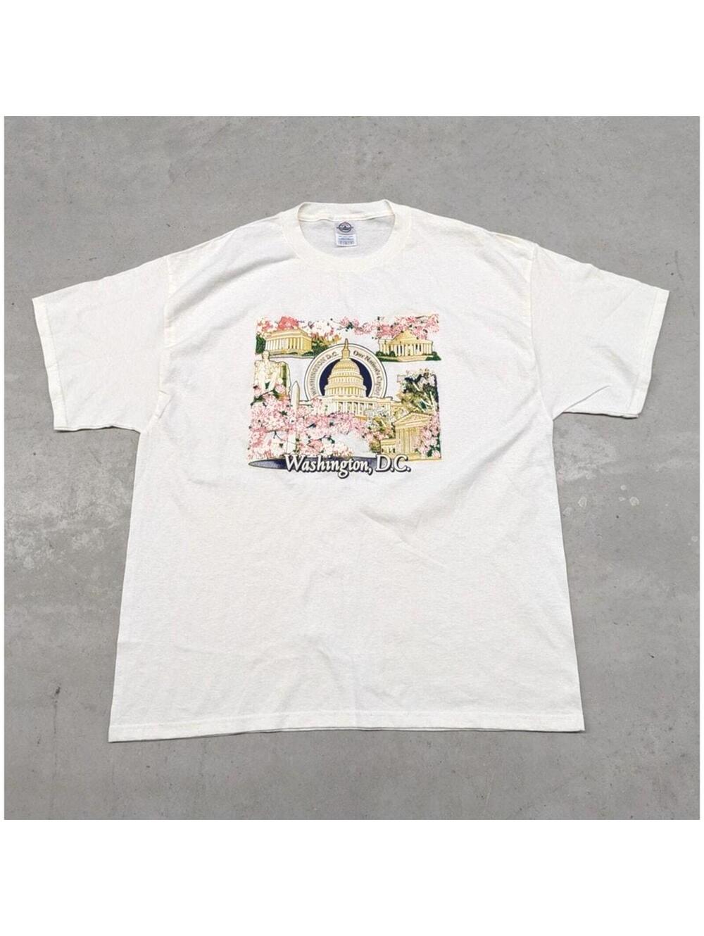 Y2K Washington D.C. Cherry Blossoms travel t-shirt